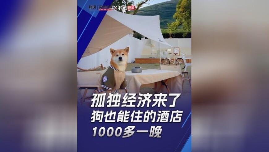 正版澳门管家婆精准大全,全球票房,精准解释落实的人生哲理_界面版V11.70