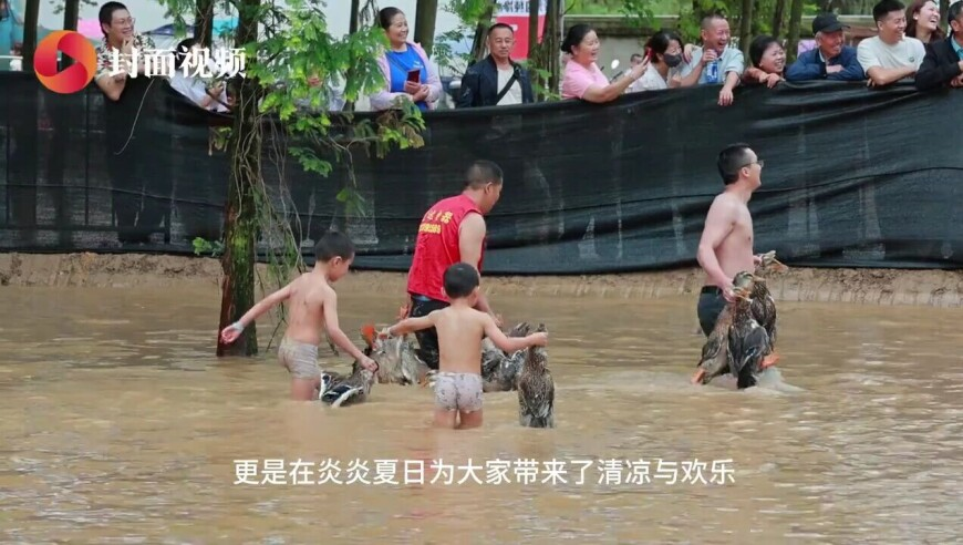 独行侠掉到西部第10,澳门今晚必中三肖,决策资料解释落实_破例版V9.4